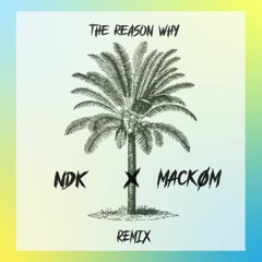 JP Cooper - The Reason Why (NDK x Mackøm remix)