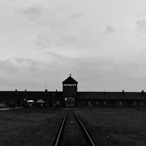 Auschwitz-Birkenau, PhoeninEurope