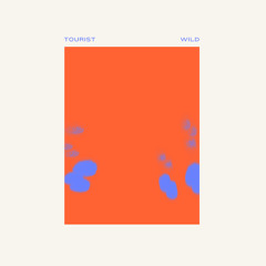 Tourist - Kin (Out Of Stock Remix)