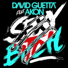 Sexy Bitch (Dollar Bear Remix) - David Guetta ft. Akon