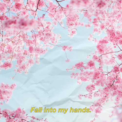Fall Into My Hands (ft.Annie<3)