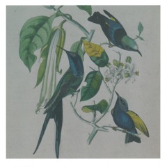 Hagoromo