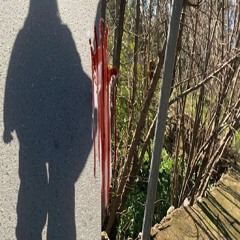 slattymercilessclown26th - angelll