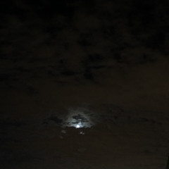 ‎⁨ياحبيبي , مي فاروق ♪