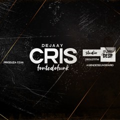 No Baile Do Cris Agora Ta Assim - MC Leozinho ZS E DJ Cris Fontedofunk