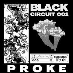 Black Circuit // 001
