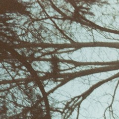 jimmyvande023 - bus 300