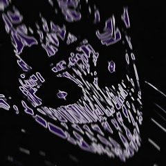 BUMBLEBEE (super-slowed)