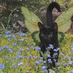 le Printemps en 2023