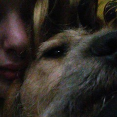 it seems I have failed