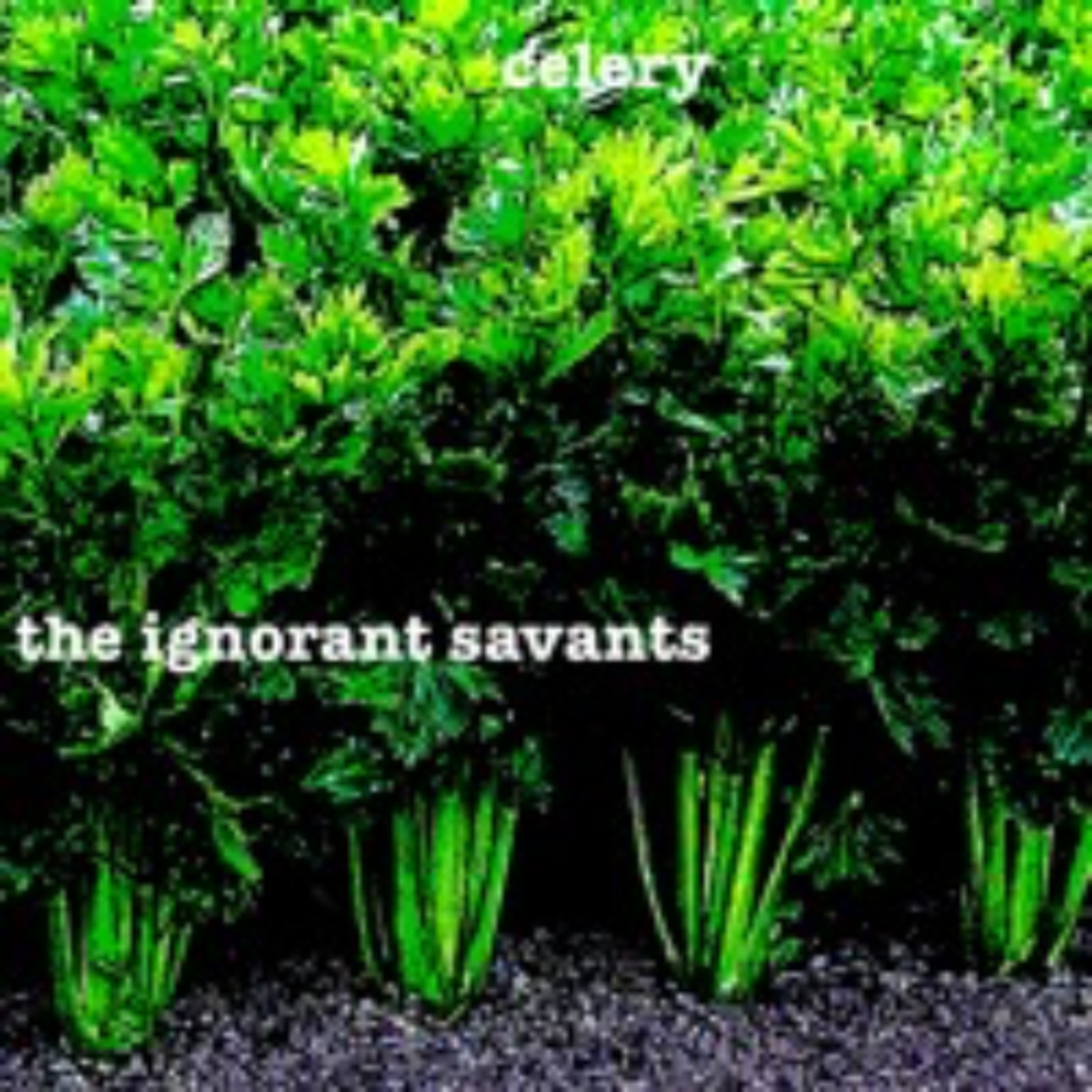 the ignorant savants