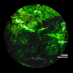 Luzinski - Valley of Ecstasy