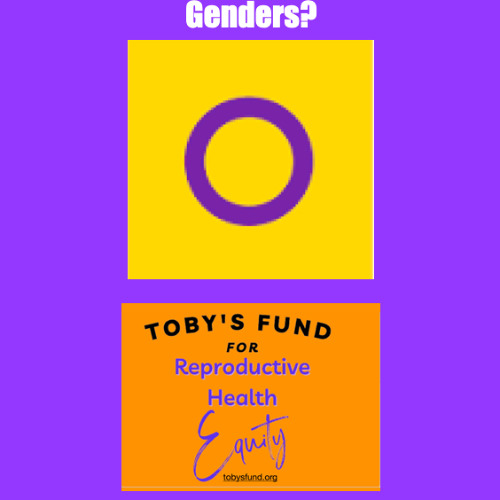 How Many Genders Are There?