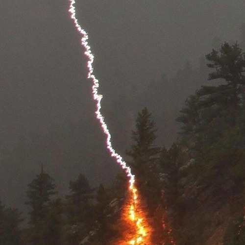 nopaprr - Heads Up (Prod. Playboyflex + Reivil) [PLUGGLAND EXCLUSIVE]