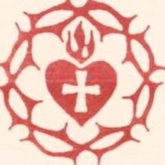 JUSTBEG - Softie -  Psy Acid Bass