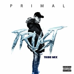 TRUST TRIBE MIX