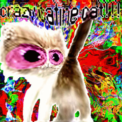 crazy cafine cat!!!