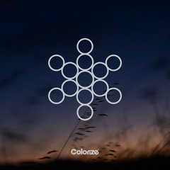 Copy of Colorize: Kapha (Scorpio) Mix by PRAANA