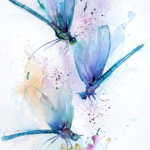 compo20241229 (Libélulas)