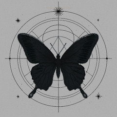Mariposa Negra