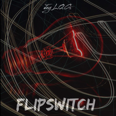 Flip Da Switch (Radio Version)