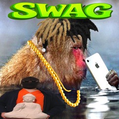 swag