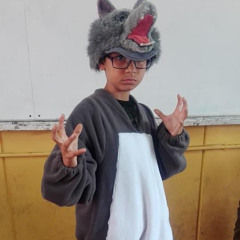 MusicaparaRayarr.oxi
