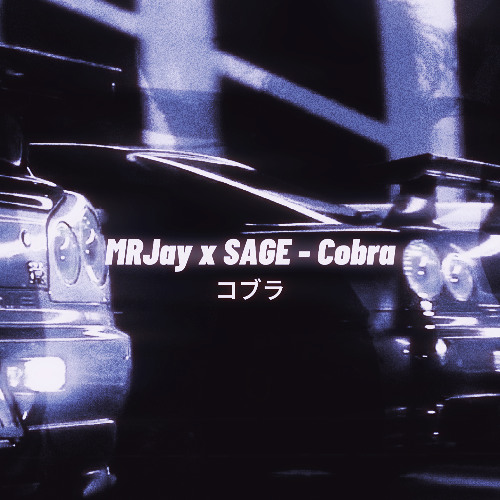 MRJay x SAGE - Cobra