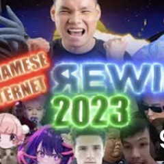 vietnamese internet rewind 2023 (kacc toátee)