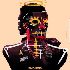 Endless Consciousness