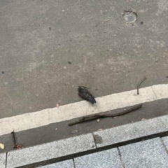 没啥关系咱们一起哭
