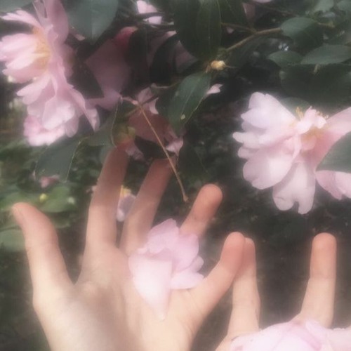 *✿  thinking about you  ❀＊(OUT ON ALL PLATS)
