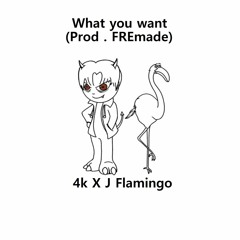 4k - What You Want (Feat. J Flamingo) (Prod. FREmade)