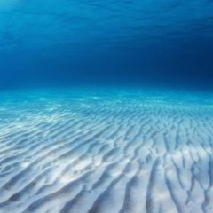 Oceanic Circle