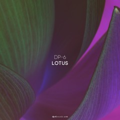 DP-6 - Lotus (Original Mix) [DR198]
