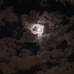 هسأل واسيبك لضميرك