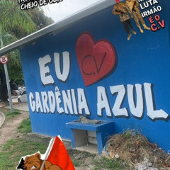 TROPA DO BOM E NOVO X TOMA JACK DO GARDÊNIA A CDD (DJ NARIZ 22 & DJ PSICO DE CAXIAS) TIK TOK