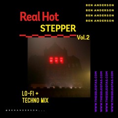 Real Hot Stepper Vol.2 - Ben Anderson - Lo-Fi/Techno Mix