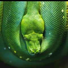 Kou_-_Drip(Prod.Grundy)