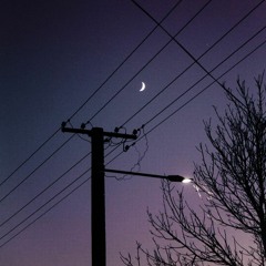 Little Dark Age (Selective Part)