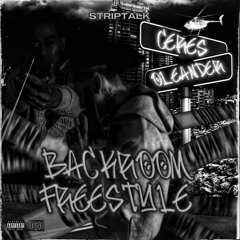 Backroom Freestyle