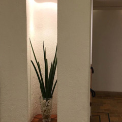 LoopUdu - Music 4 Short Video - 03