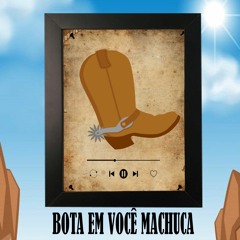 BOTA EM VOCÊ MACHUCA, LAÇO DO FAZENDEIRO ( DJ ML DA VILA ) Boiadeiro - REMIX