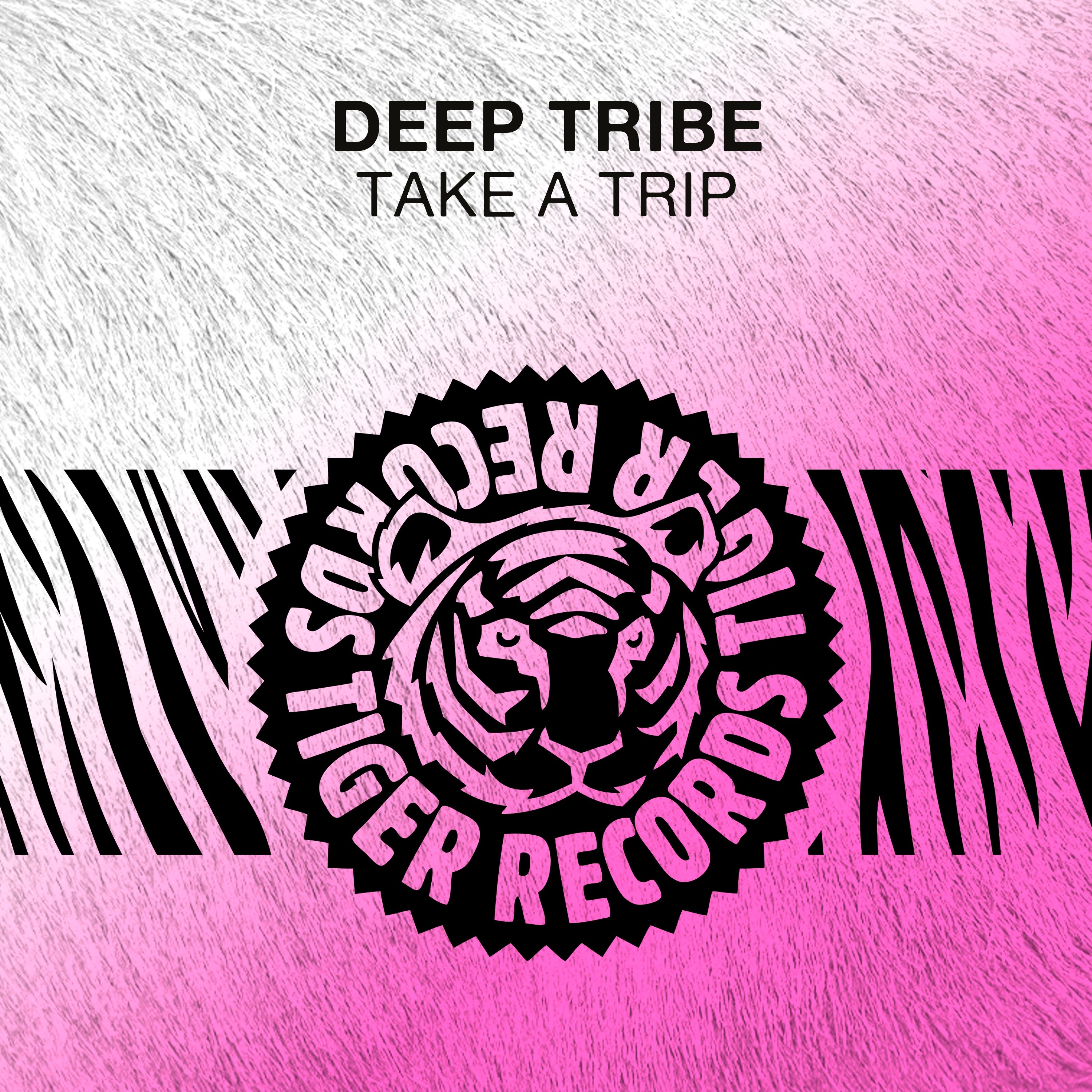 Take A Trip (Radio Edit)Clip [Tiger Records] episode artwork