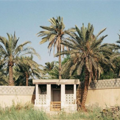 Within Cultures: Symbolism of Palm Trees in the Arabian Gulf