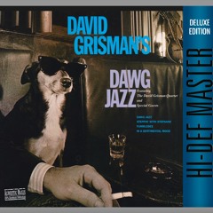 David Grisman - Dawggy Mountain Breakdown (aka New York Ramble) - 1982