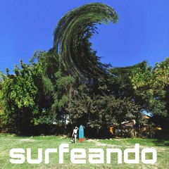 SURFEANDO