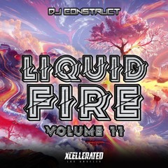 DJ Construct - "Liquid Fire Vol. 11" (76 Track Drum & Bass Mix)