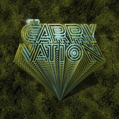 Premiere: The Carry Nation 'The Good Shit' Ft Juanita MORE!