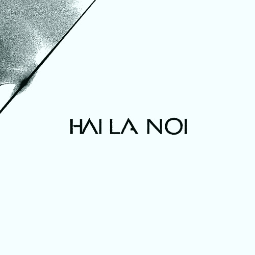 NSD - Hai La Noi ( 2K25 REMIX)